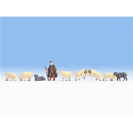 Shepherd and Sheep