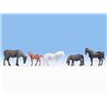 Horses