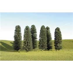8"- 10" Cedar Trees 2 Pk