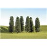 8"- 10" Cedar Trees 2 Pk