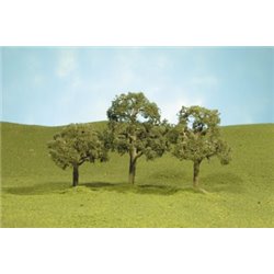 5" Walnut Trees 2 Pk