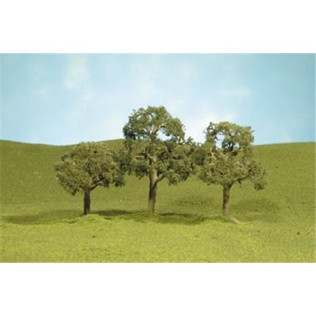 5" Walnut Trees 2 Pk