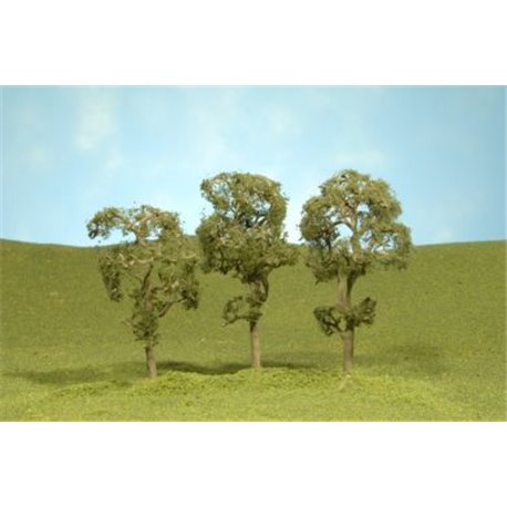 8" Maple Trees 2 Pk