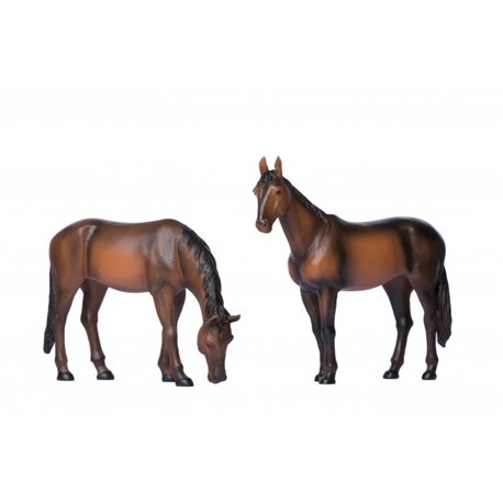 Horses Standing and Grazing