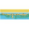 Swimming People (6)