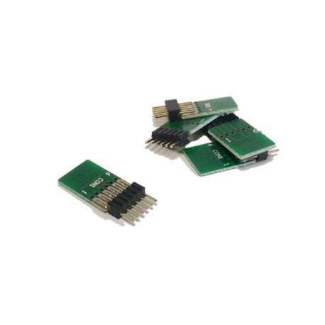 6 Pin Decoder Blanking Plug (Straight) (x5)