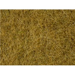 Wild Grass - Beige 50g