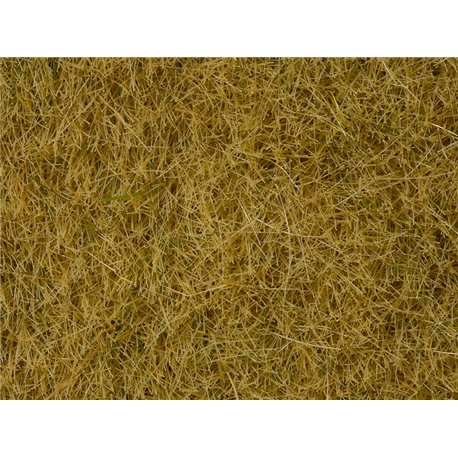 Wild Grass - Beige 50g