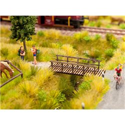 Small Footbridge