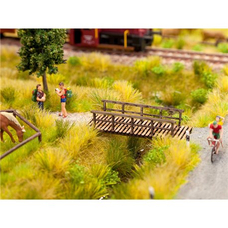 Small Footbridge