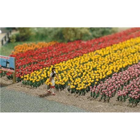 HO 60 tulips