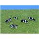 Unpainted Cows & Calf (x5)