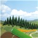 Dark Green Grass Mat Large 200 x 80 cm