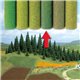 Mixed Green large Grass Mat 200 x 80 cm
