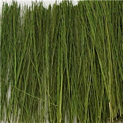 Field Grass Light Green (15g)