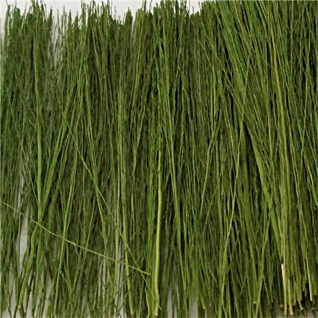 Field Grass Light Green (15g)