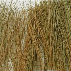 Field Grass Natural Brown (15g)