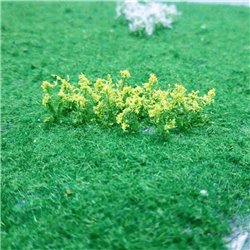 Oilseed Rape (32)