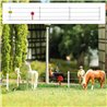 Electrified animal fence