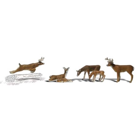 O Deer