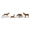 O Deer
