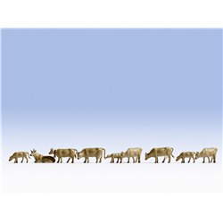 N Scale (1/148 - 1/160) Cows - Brown (9) by Noch