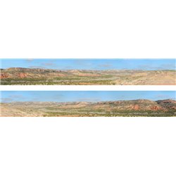 Desert N gauge 9" High Backscene