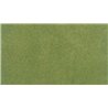 Project Sheet 12 1/2" x 14 1/8" Spring Grass Roll