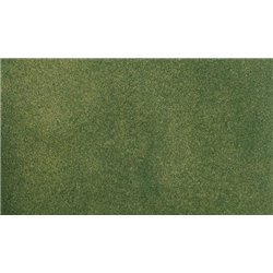 Project Sheet 12 1/2" x 14 1/8" Green Grass Roll