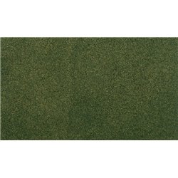 33" x 50" Forest Grass Medium Roll