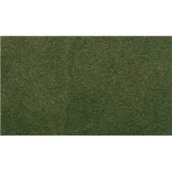 Project Sheet 12 1/2" x 14 1/8" Forest Grass Roll