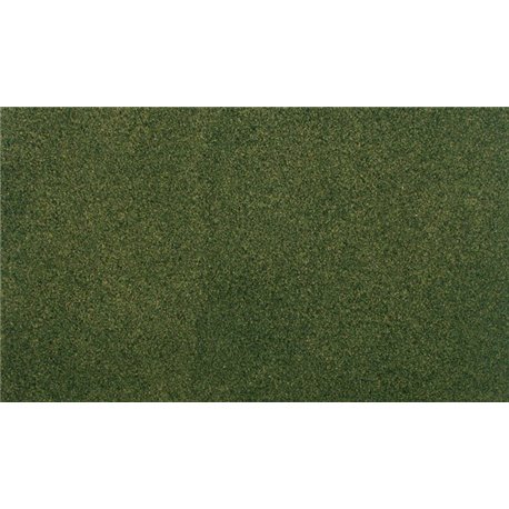 Project Sheet 12 1/2" x 14 1/8" Forest Grass Roll