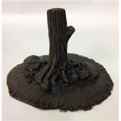 Single large tree base - pkd 1s