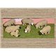 Painted Assorted Sheep & Lambs (O scale 1/43rd)