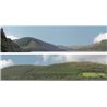 Forest hills OO gauge Backscene (15"x10’) pack A PREMIUM PRINT !