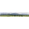 Hills and Dales Backscene - Set B 2 x 5' x 9'' PREMIUM PRINT&nbsp;!