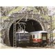 Twin Electric Loco Portals (2)