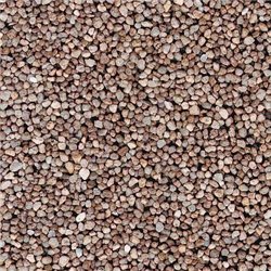 Light Brown Heavy Gravel