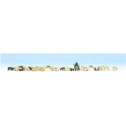 Sheep & Shepherd (26)