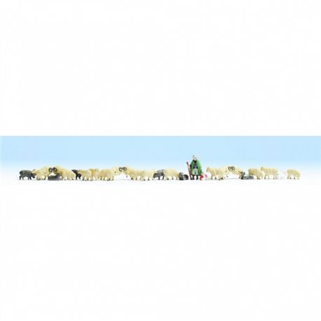 Sheep & Shepherd (26)