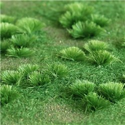 Green Meadow