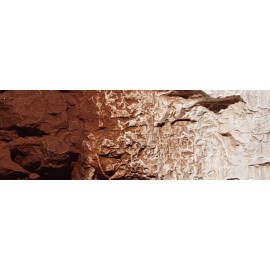 Terrain Paint - Burnt Umber - 4 fl oz