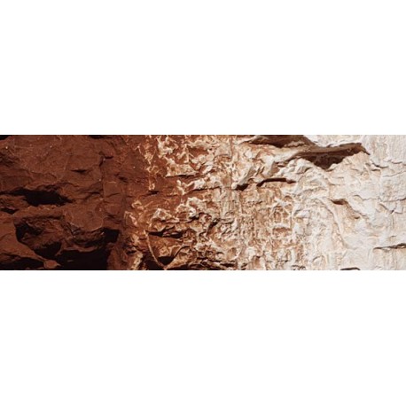 Terrain Paint - Burnt Umber - 4 fl oz