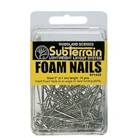 Foam Nails 75/Pkg 2in. Ea