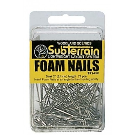 Foam Nails 75/Pkg 2in. Ea