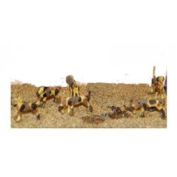 Painted 6 Assorted Hounds from Hunt Scene