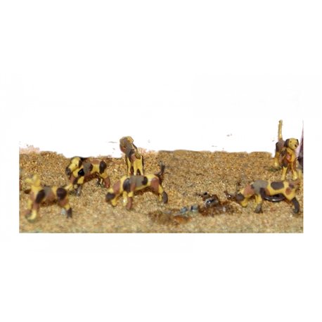 Painted 6 Assorted Hounds from Hunt Scene