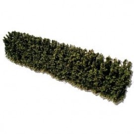 Woodland/garden hedges 155mm