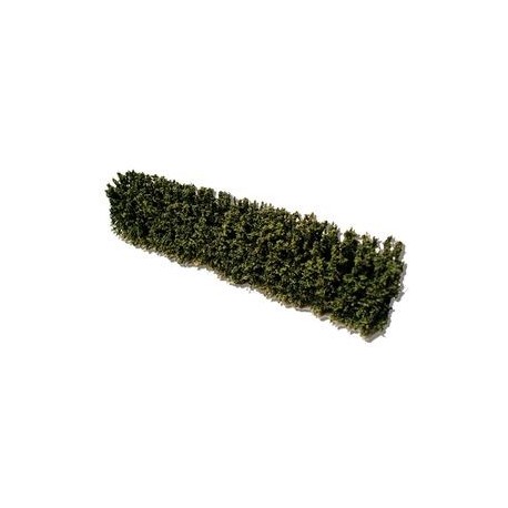 Woodland/garden hedges 155mm