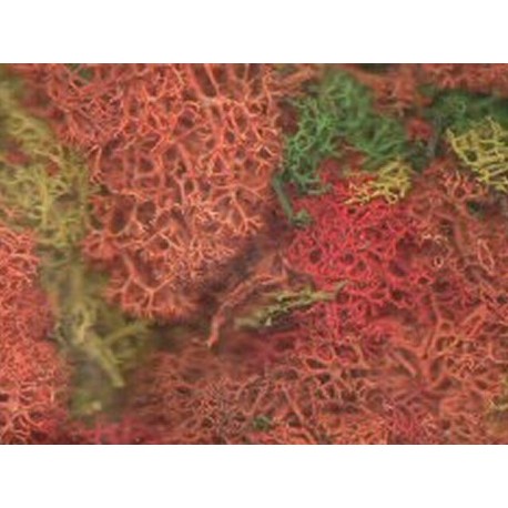Bulk pack mixed colour lichen